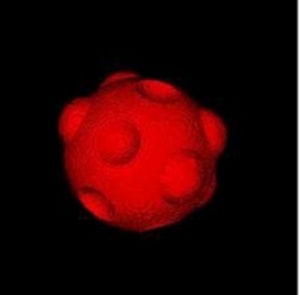 Image Registration with Automatic Computation of Gradients