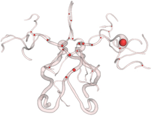Automatic Junction Detection for Tubular Structures