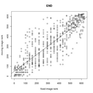 An ITK-based Implementation of the Stochastic Rank Correlation (SRC) Metric