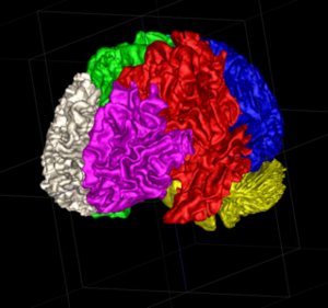 Escher's Ants as Metaphor: Topological Marching for the Well-Composed, Genus Zero Crowd