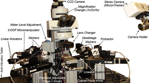 A software architecture for cell manipulation