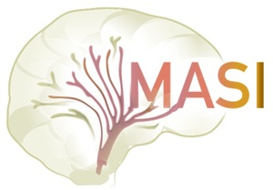 Next Generation of the JAVA Image Science Toolkit (JIST) Visualization and Validation