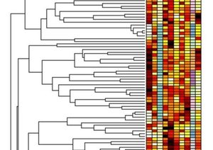 Big Data Analysis and Visualization with Open Source Tools