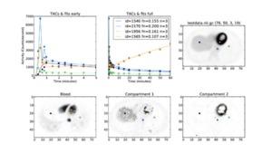 InsightToolkit Kinetic Analysis (itk::ka) Library