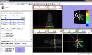 Dose Painting with a Variable Collimator for the Small Animal Radiation Research Platform (SARRP)